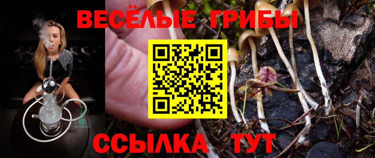 Галлюциногенные грибы Magic Shrooms Малоярославец