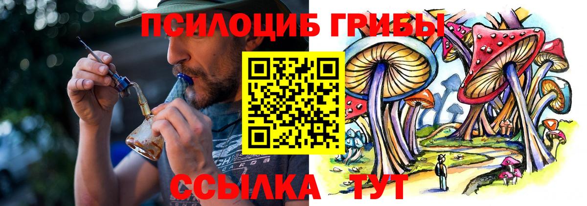 Псилоцибиновые грибы мухоморы  Вход с VPN  Малоярославец 